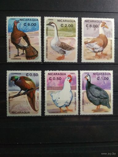 Никарагуа 1985 г. Птицы.