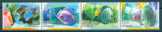 2006. 668-671. Аквариумные рыбы. Дискус**