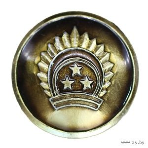 Латвия. Мундирная пуговица. 22 мм