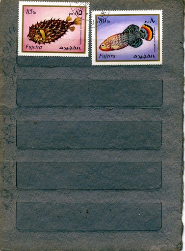 ФУЖЕЙРА, РЫБЫ, 2м гашен