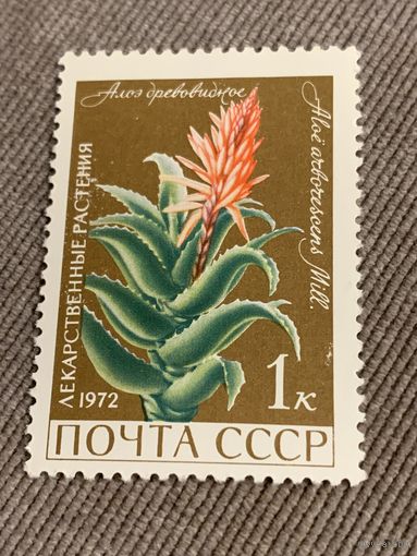 СССР 1972. Алоэ древовидное. Марка из серии
