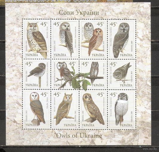 ФФ1 Украина 2003 Совы