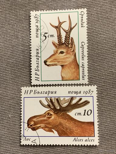 Болгария 1987. Дикие животные. Марки из серии