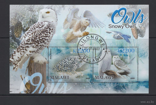 Малави 2022 Хищные Птицы Совы Фил.гашение