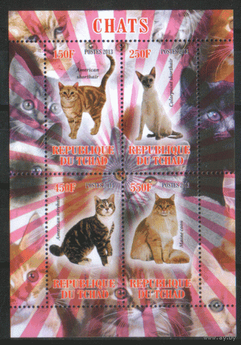 Чад. 2013. БЛОК. Коты и кошки. чиСт.