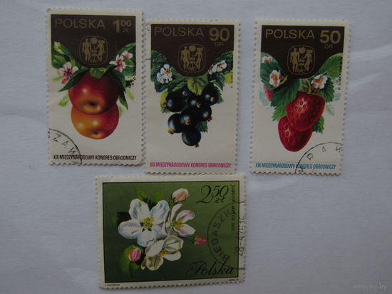 Флора.