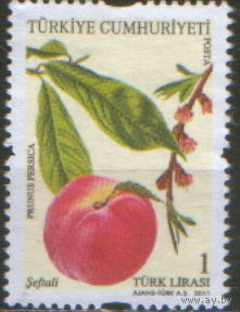 Марка из серии 2011г. Турция "Фрукты. Персик"
