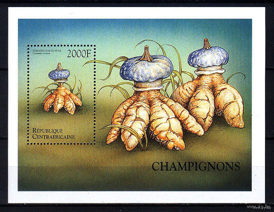 1999 ЦАР. Грибы MNH