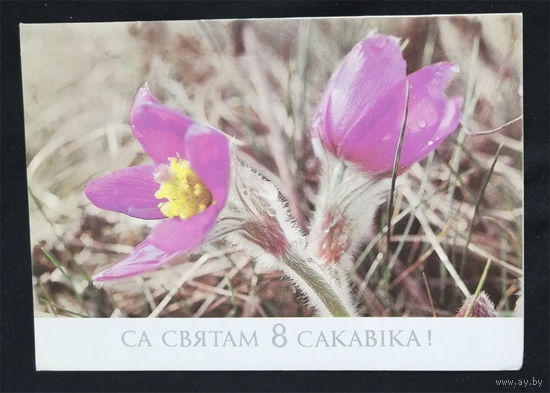 Лихтарович Г. Са святам 8 сакавiка! Двойная. 1988 год открытка БССР #0151-KM1P76