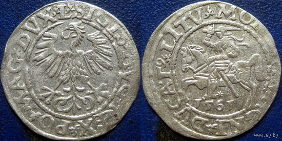 ВКЛ. Полугрош 1561 года. L/LITV.