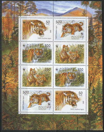 РФ. Заг. МАЛЫЙ ЛИСТ 124/127. 1993. Уссурийский тигр. ЧиСт.