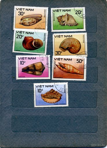 ВЬЕТНАМ, 1988,  РАКОВИНЫ МОЛЛЮСКОВ, серия 7м, гашен