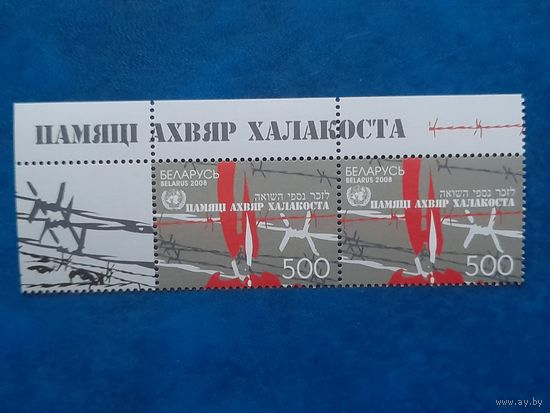 Беларусь 2008 пара