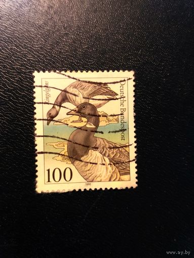 Марка Германии. Охрана окружающей среды. Морские птицы. Из серии. 1991 (3)