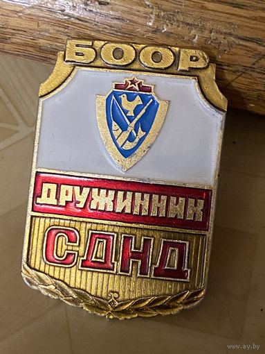 ДРУЖИННИК БООР