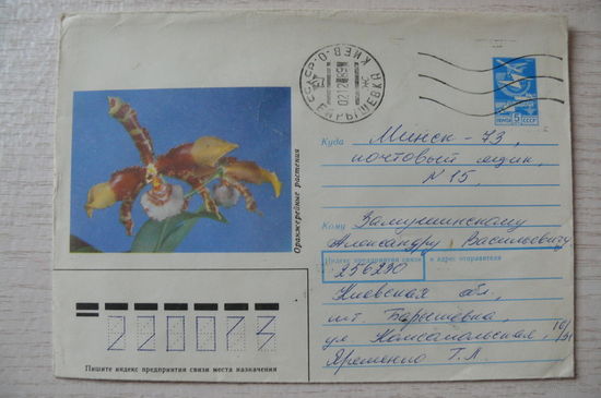 1988, ХМК, Марков О., Оранжерейные растения; подписан.