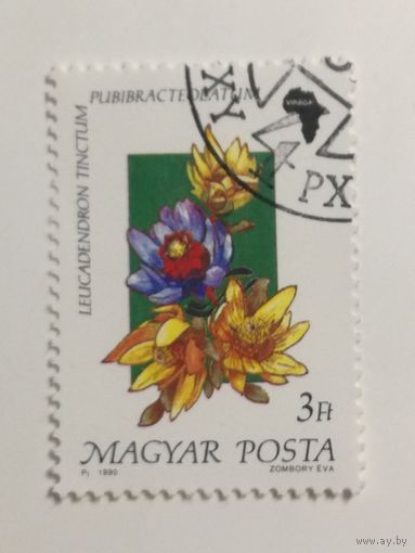 Венгрия 1990. Флора.