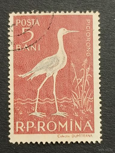 Румыния 1957. Птицы - фауна дельты Дуная. Ходулочник