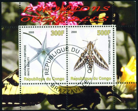 Природа Конго 2008 год блок из 2-х марок