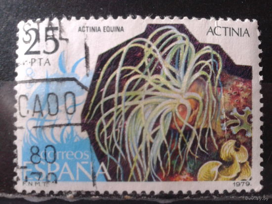 Испания 1979 Анемон, концевая