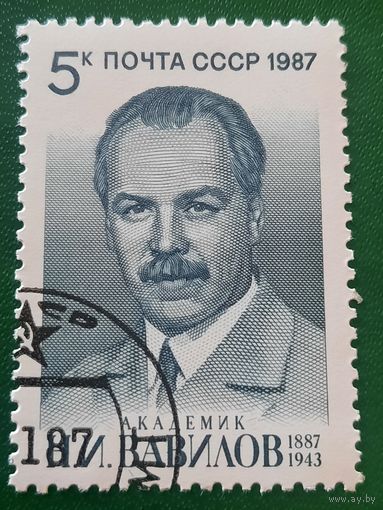 СССР 1987. Академик Н.И. Вавилов 1887-1943. Гашение низ слева