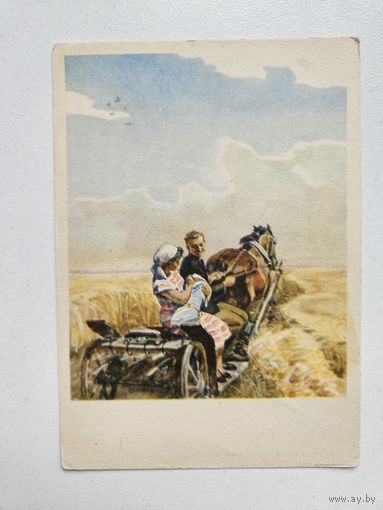 Цигаль 1955 первенец