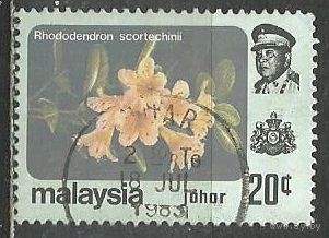 Малайские штаты(Джохор). Цветы. Рододендрон. 1979г. Mi#173.