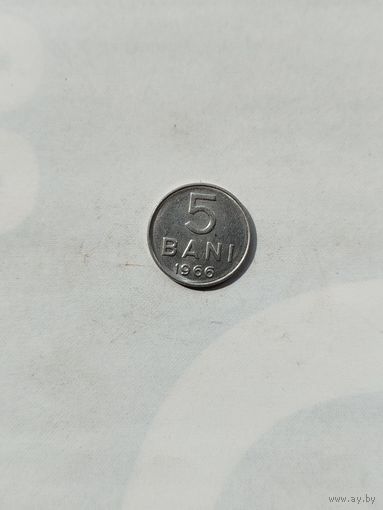 5 бани Румыния.