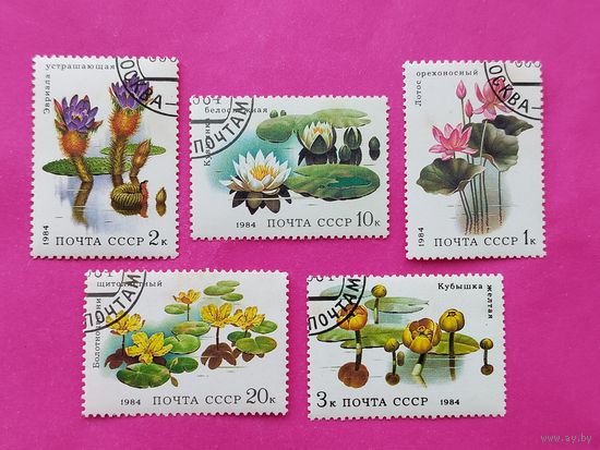 СССР. Водные растения. ( 5 марок ) 1984 года. 11-13.