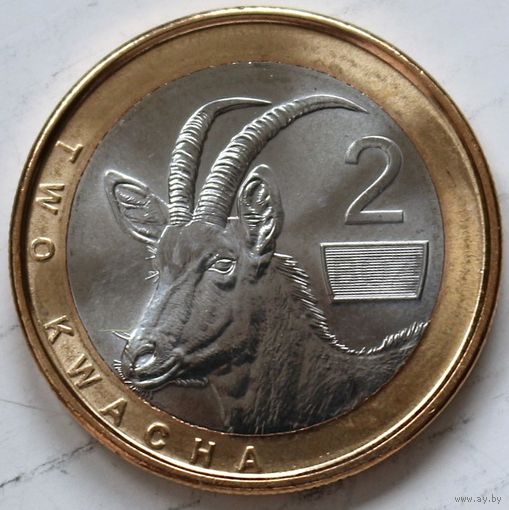 Замбия 2 квачи 2024 год