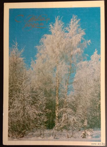 Дорожинский, 1983 Чистая