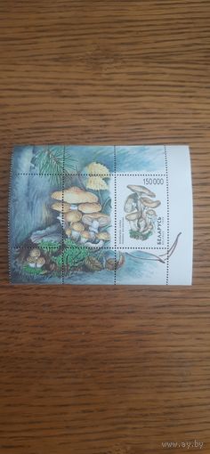 Беларусь. Грибы. 1999г. чистый блок
