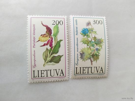 Литва  1992 2м