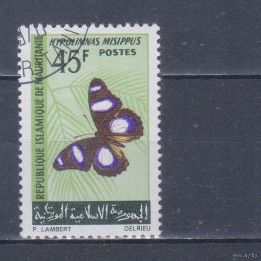 [1675] Мавритания 1966. Фауна.Бабочка. Гашеная марка.