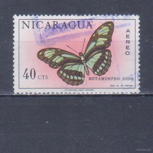 [662] Никарагуа 1967. Фауна.Бабочка.40 с. Гашеная марка.