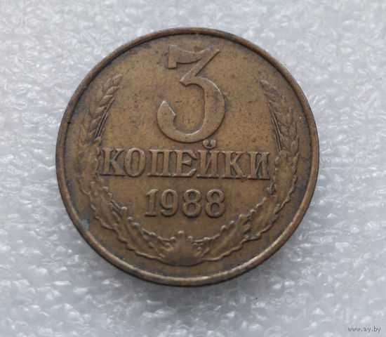 3 копейки 1988 СССР #06