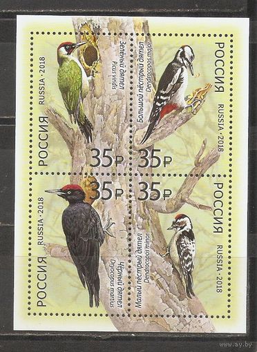 ФФ3 Россия 2018 Дятел