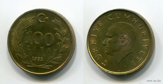 Турция. 100 лир (1993)