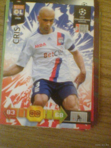 CRIS Лион Франция-лига чемпионов-2011