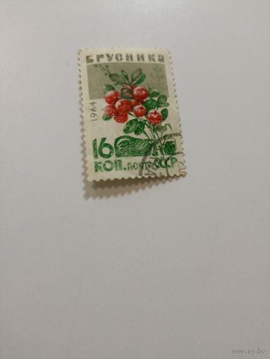 1964. Брусника.