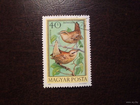 Венгрия 1973 г.Евразийский крапивник ./33а/