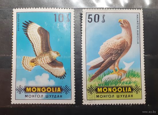 Монголия. Фауна. Птицы (418)