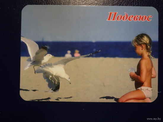 Календарик 2004 г. Подевюс. Ребенок, чайки.
