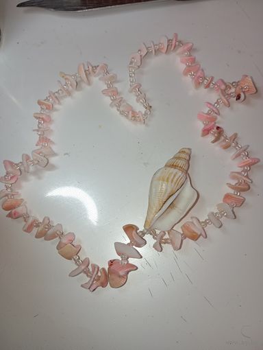 Бусы из ракушек , тяжёлые  .