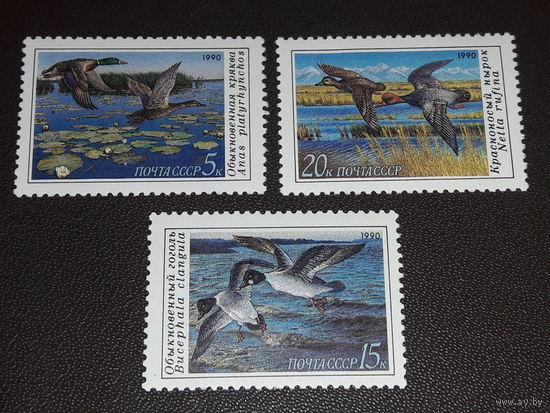 СССР 1990 Фауна. Птицы. Полная серия 3 чистые марки