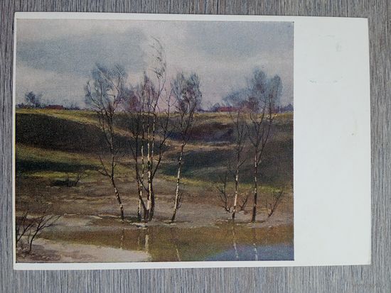 1955. Камзолкин. Весной