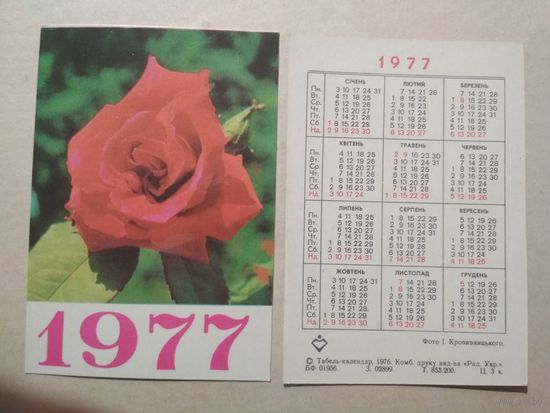 Карманный календарик. Роза .1977 год