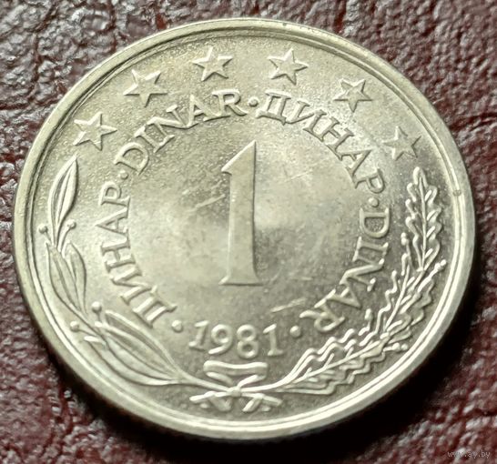 Югославия 1 динар, 1981    ( 1-7-3 )
