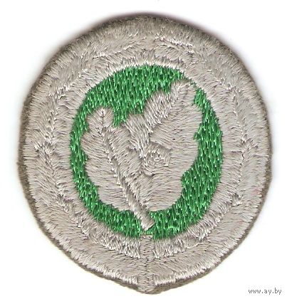 Квалификационная нашивка инструктора парашютно-десантных спецопераций Бундесвера