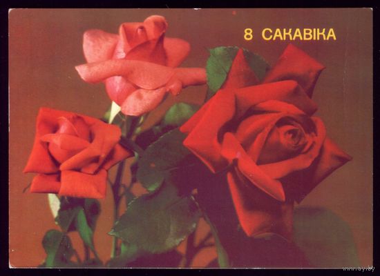 1989 год Б.Круцко 8 сакавiка